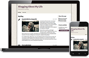 My life website example